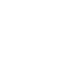 Palmus Logo